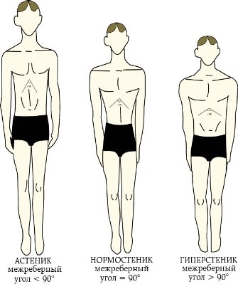 три типа телосложения